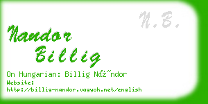 nandor billig business card